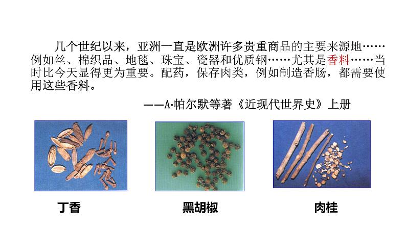 2019-2020学年新教材部编版必修中外历史纲要下 第6课全球航路的开辟 课件（36张）07