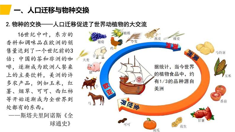 2019-2020学年部编版必修下册：第7课 全球联系的初步建立与世界格局的演变【课件】（22张）第6页