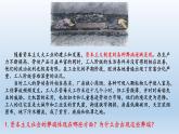 2019-2020学年部编版必修下册：第11课 马克思主义的诞生与传播（课件）（26张）