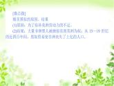 2019-2020学年部编版必修《中外历史纲要》下 7 全球联系的初步建立与世界格局的演变 课件（37张）