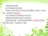 2019-2020学年部编版必修《中外历史纲要》下 6 全球航路的开辟 课件（36张）