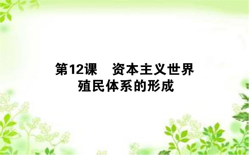 2019-2020学年部编版必修《中外历史纲要》下 12 资本主义世界殖民体系的形成 课件（42张）01