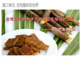 2019-2020学年部编版必修《中外历史刚要》下 第7课 全球联系的初步建立与世界格局的演变 课件（21张）
