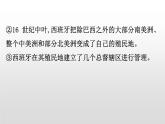 2019-2020学年部编版必修下册： 第12课 资本主义世界殖民体系的形成 （课件）（30张）