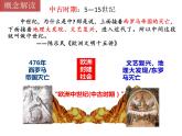 2019-2020学年部编版必修下册：第3课 中古时期的欧洲【课件】 （23张）
