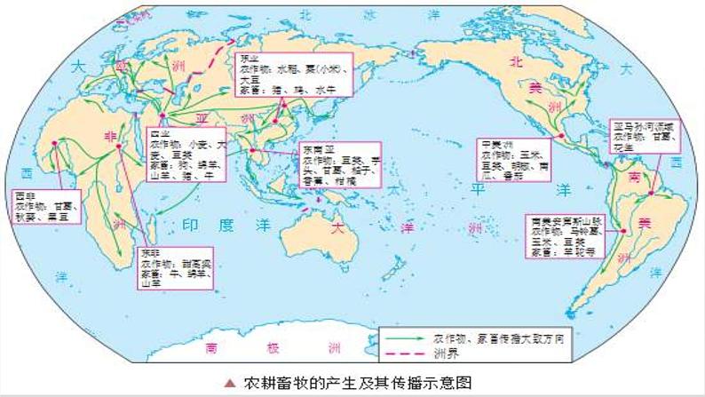 2019-2020学年部编版必修下册：第1课 文明的产生与早期发展【课件】（34张）第5页