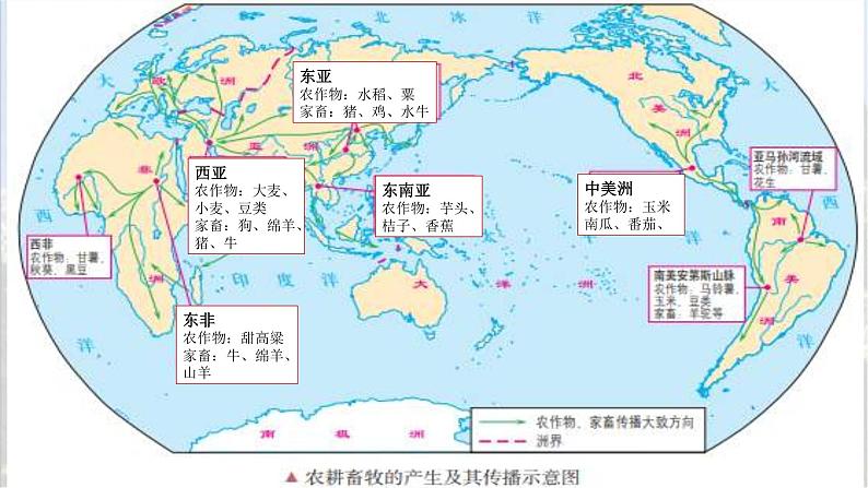 2019-2020学年部编版必修下册：第1课 文明的产生与早期发展【课件】（37张）第6页