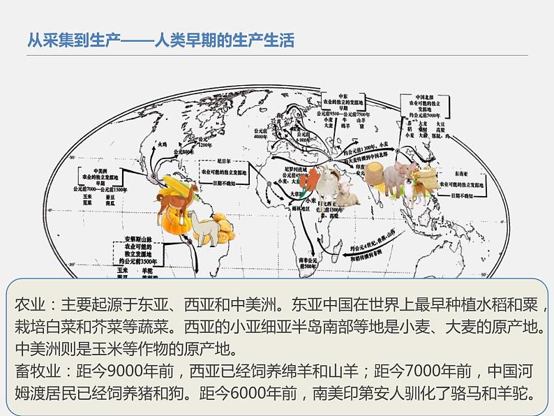 2021春人教统编版高二历史上册（课件）第01课  从食物采集到食物生产（选择性必修二：经济与社会生活）07