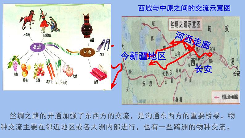 2021春人教统编版高二历史上册第2课 新航路开辟后的食物物种交流（课件）（选择性必修2经济与社会生活）03