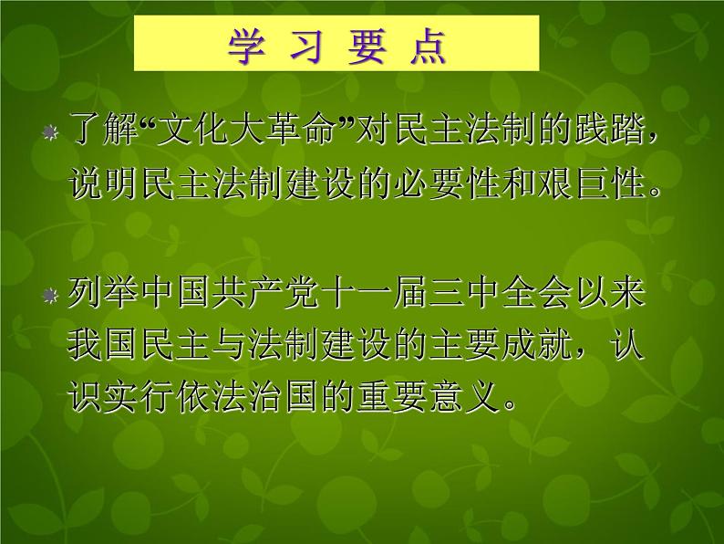 高中历史人教版必修一 第21课 民主政治建设的曲折发展课件（共41 张PPT）03