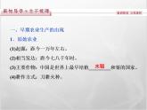 高中历史人教版必修2课件：第1课 发达的古代农业