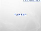 高中历史人教版必修2课件：第八单元 世界经济的全球化趋势