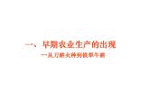 人教版高中历史必修二第1课 发达的古代农业课件（共26 张PPT）