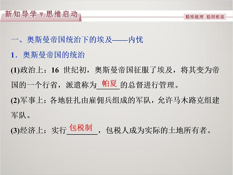 历史人教版选修1 第六单元第1课 18世纪末19世纪初的埃及 课件04