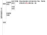 教学课件：第3课+中古时期的欧洲+课件+（1）
