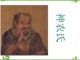 高一历史必修2同步精品课件（人教版）第1单元 第1课 发达的古代农业