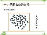 高一历史必修2同步精品课件（人教版）第1单元 第1课 发达的古代农业