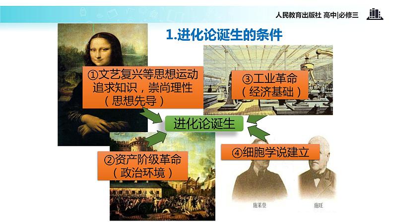 【教学课件】《破解生命起源之迷》（历史人教必修3）06