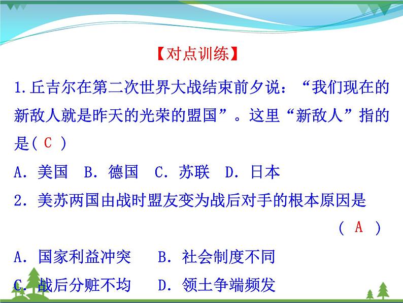 新人教版 必修1高中历史第八单元当今世界政治格局的多极化趋势第25课两极世界的形成课件08