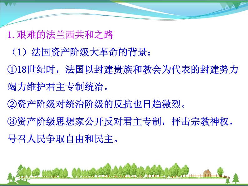 新人教版 必修1高中历史第三单元近代西方资本主义政治制度的确立与发展第9课资本主义政治制度在欧洲大陆的扩展课件06