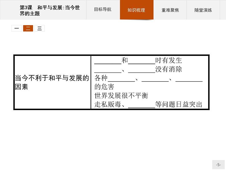 高中历史人教版选修3课件：6.3 和平与发展：当今世界的主题课件05