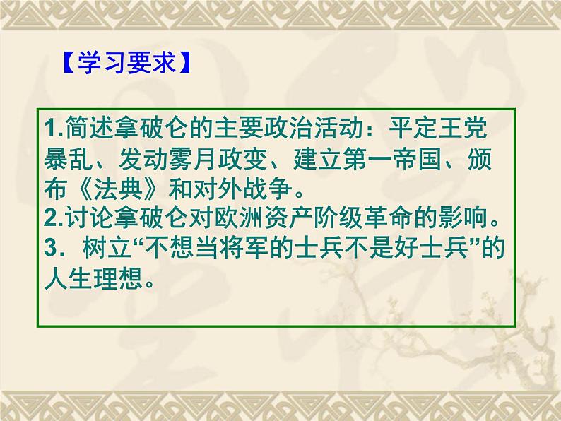 3.3 一代雄狮拿破仑课件 新人教版选修402