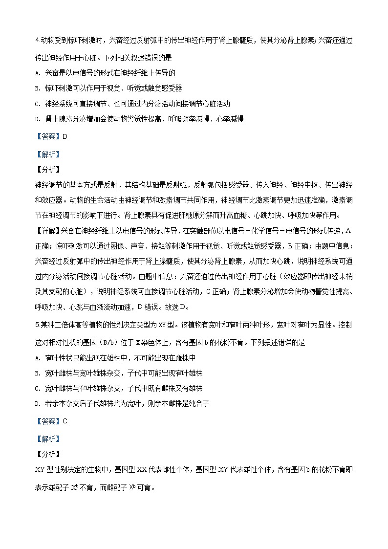 精编：2019年全国卷Ⅰ理综生物高考真题及答案解析（原卷+解析卷）03