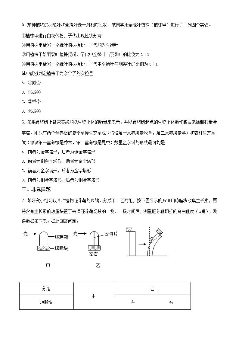 精编：2019年全国卷Ⅱ理综生物高考真题及答案解析（原卷+解析卷）02
