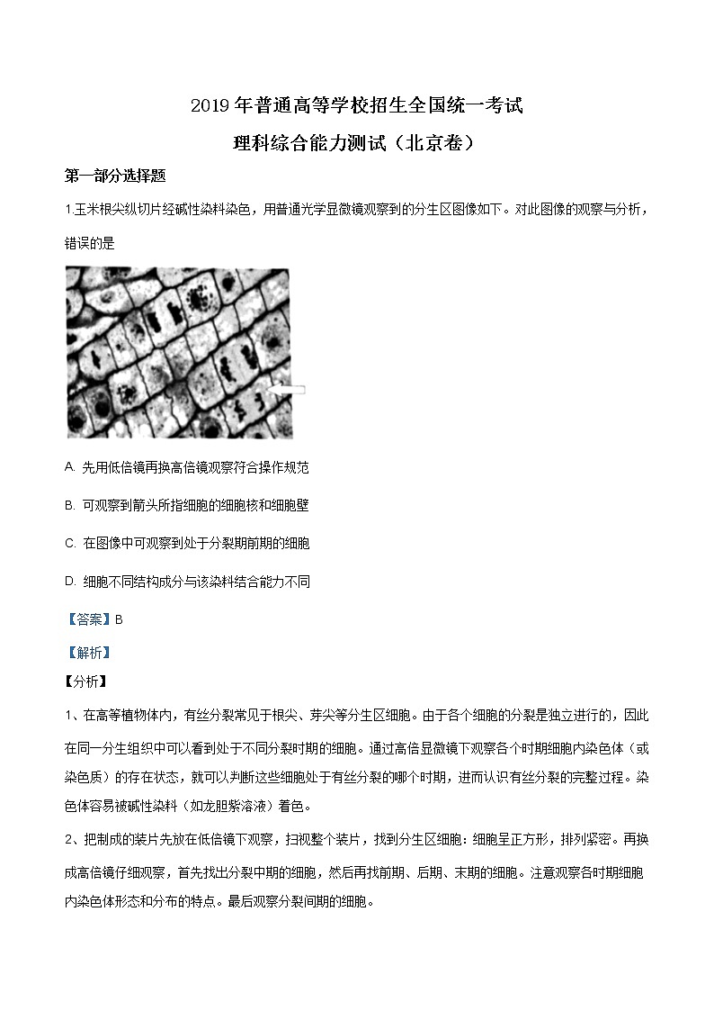 精编：2019年北京卷理综生物高考真题及答案解析（原卷+解析卷）01