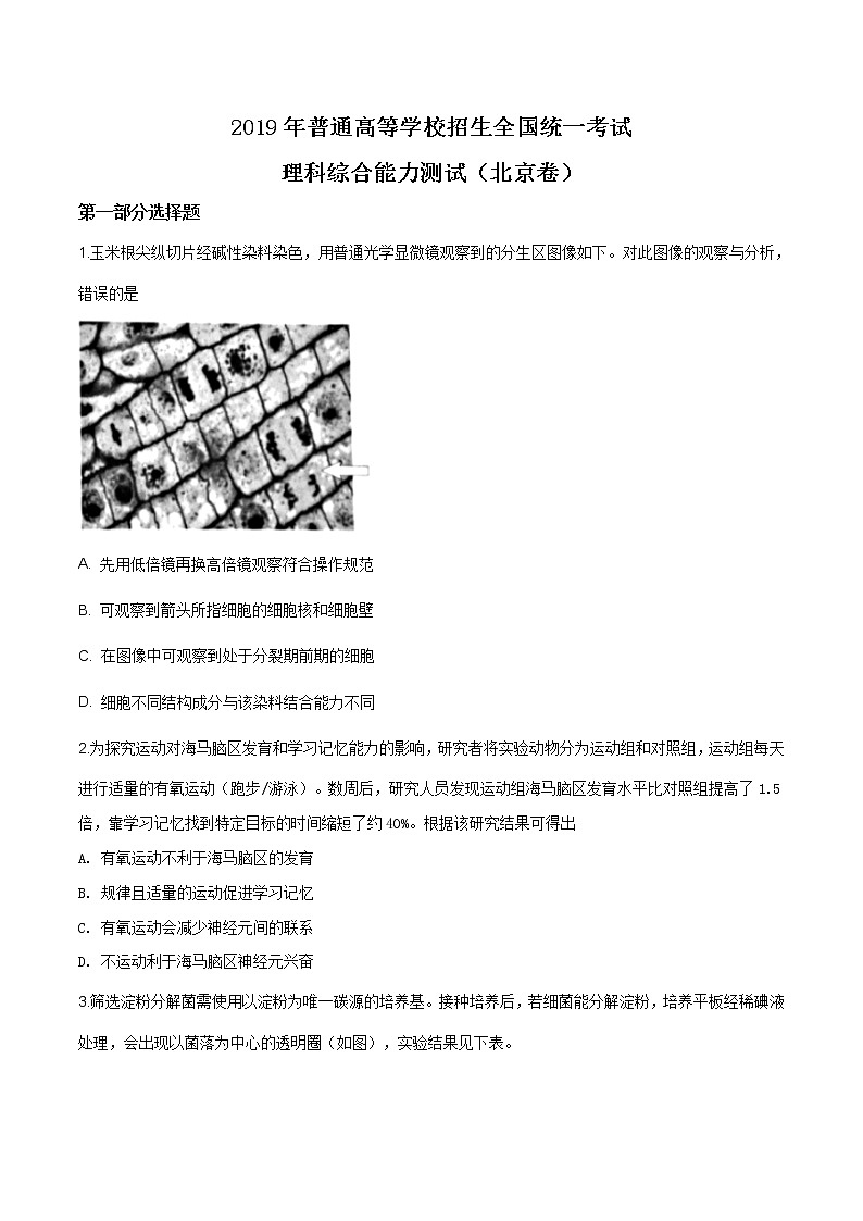 精编：2019年北京卷理综生物高考真题及答案解析（原卷+解析卷）01