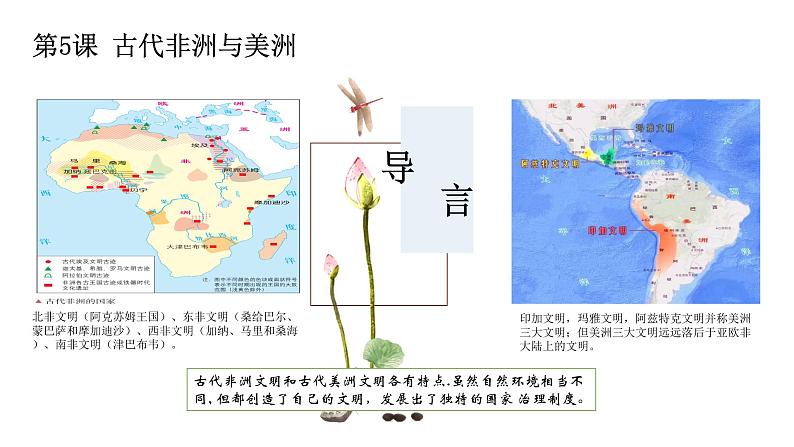 中外历史纲要（下）新视角课件 第5课 古代非洲与亚洲03