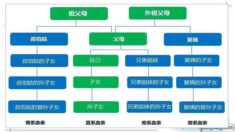 6.1第6页