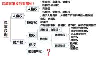 高中政治思品人教统编版选择性必修2 法律与生活尊重知识产权备课课件ppt