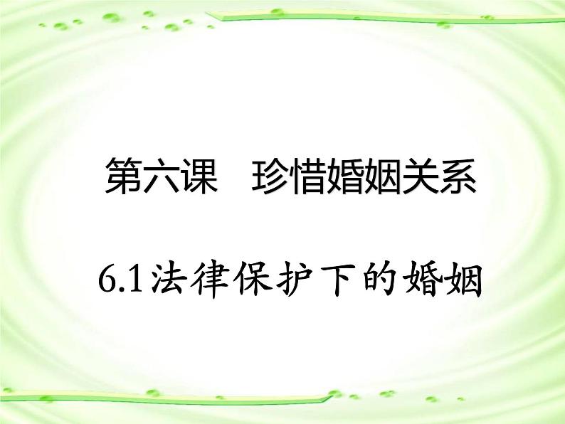 6.1 法律保护下的婚姻（教学课件）-2021-2022学年高中政治人教统编版选择性必修2第2页