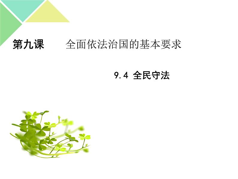 9.4 全民守法 课件-【新教材】高中政治统编版必修三（共33张PPT）第1页