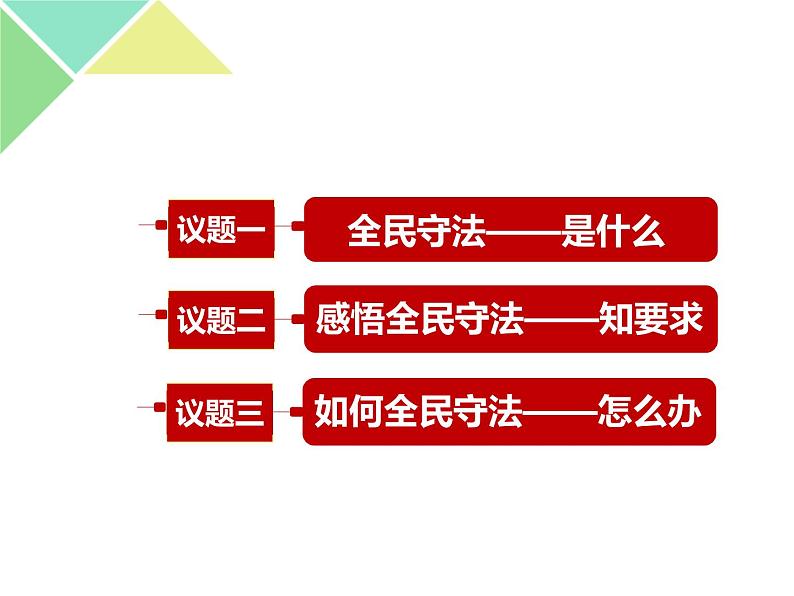 9.4 全民守法 课件-【新教材】高中政治统编版必修三（共33张PPT）第4页