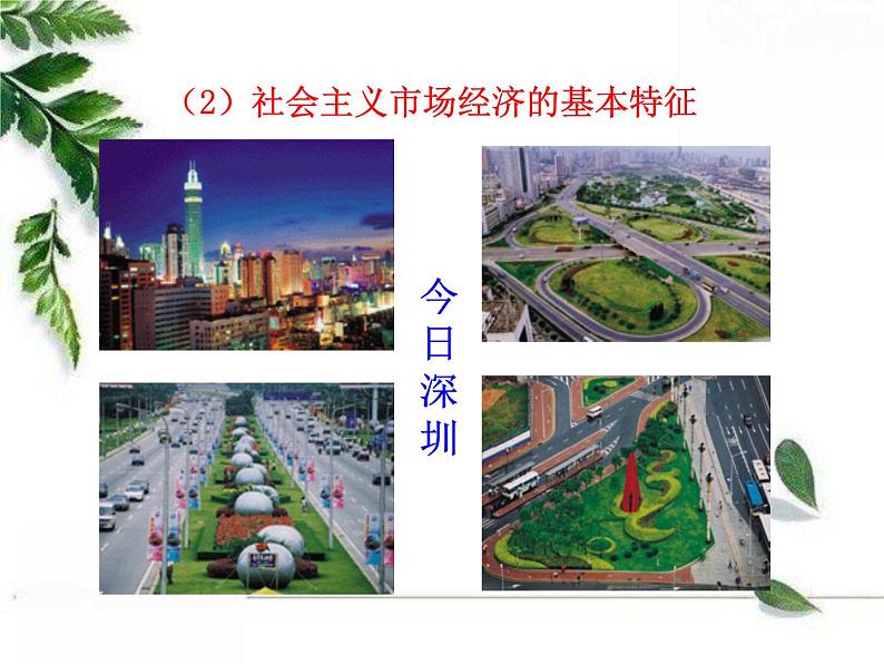 人教版（新课标）高中政治 必修一 4.9.2社会主义市场经济（人教版必修1）课件PPT第8页