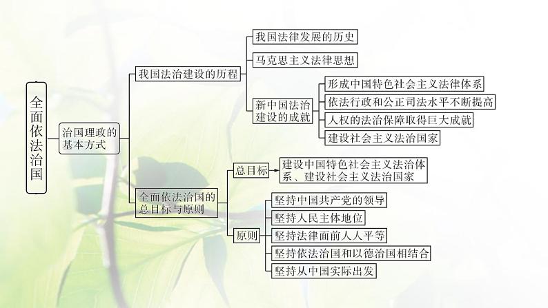 2022届新教材高考政治一轮复习第七单元全面依法治国单元整合课件部编版第3页