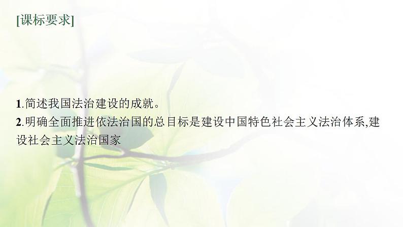 2022届新教材高考政治一轮复习第七单元全面依法治国第十五课治国理政的基本方式课件部编版第3页