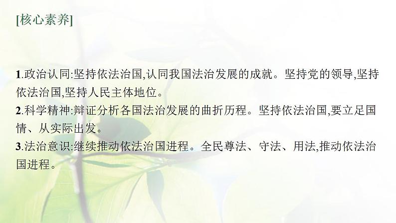 2022届新教材高考政治一轮复习第七单元全面依法治国第十五课治国理政的基本方式课件部编版第5页