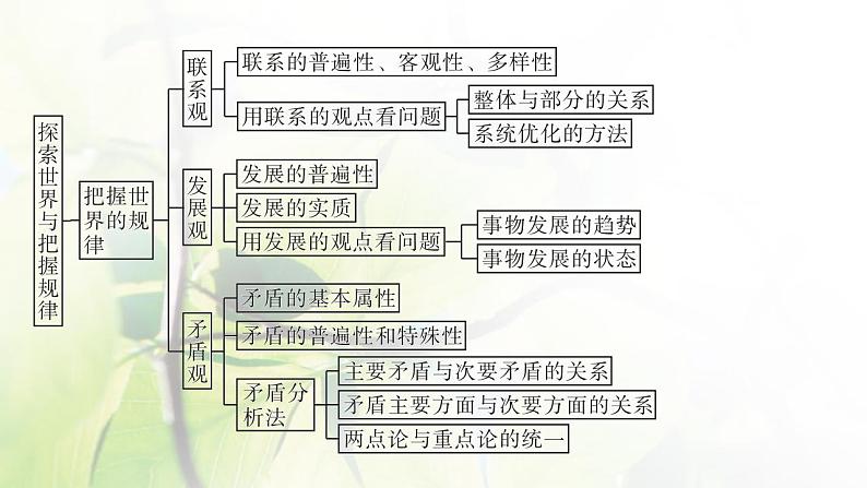 2022届新教材高考政治一轮复习第八单元探索世界与把握规律单元整合课件部编版第5页