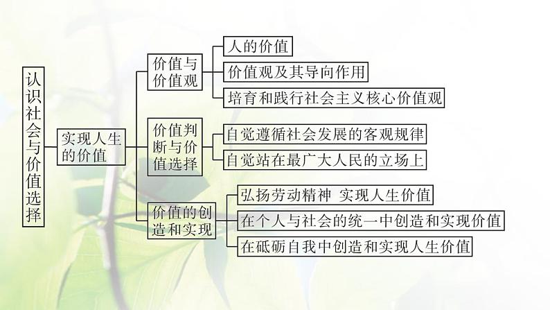 2022届新教材高考政治一轮复习第九单元认识社会与价值选择单元整合课件部编版第4页