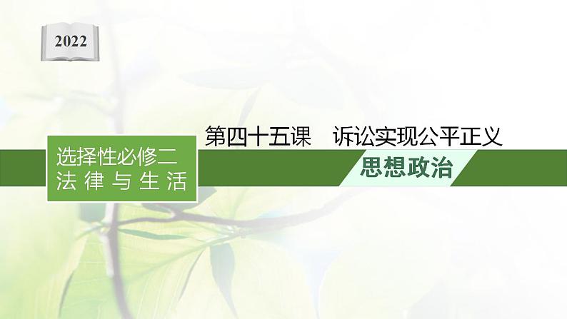 2022届新教材高考政治一轮复习第十八单元社会争议解决第四十五课诉讼实现公平正义课件部编版第1页