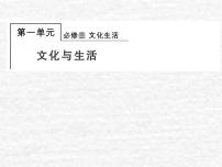 高中政治一轮复习第一单元文化与生活课件+练习打包5套新人教版必修3