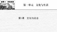 高考政治一轮复习第一单元公民的政治生活课件+课时练习打包5套新人教版必修3