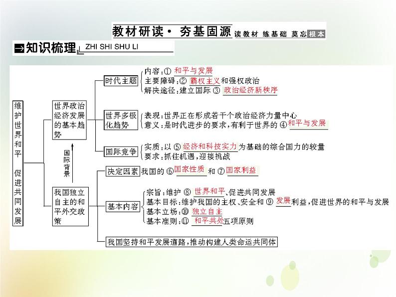 2022届高中政治一轮复习第四单元当代国际社会10维护世界和平促进共同发展课件新人教版必修2第2页