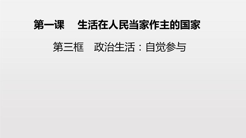 人教版高中政治必修二1.3政治生活：自觉参与(共19张ppt)01