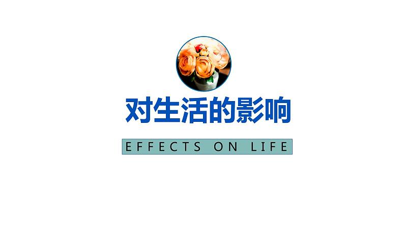 高中政治人教版必修一经济生活2.2价格变动的影响课件（共28张PPT）03