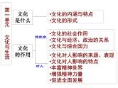 人教版新课标高中政治必修三《文化生活》第一单元文化与生活 知识总结 复习(共14张ppt)