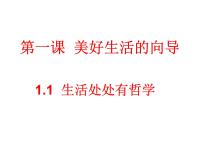 人教版 (新课标)必修4 生活与哲学第一单元   生活智慧与时代精神第一课 美好生活的向导1 生活处处有哲学教学演示课件ppt